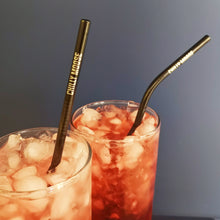 Load image into Gallery viewer, Chilly Moose Stainless Steel Reusable Straws

